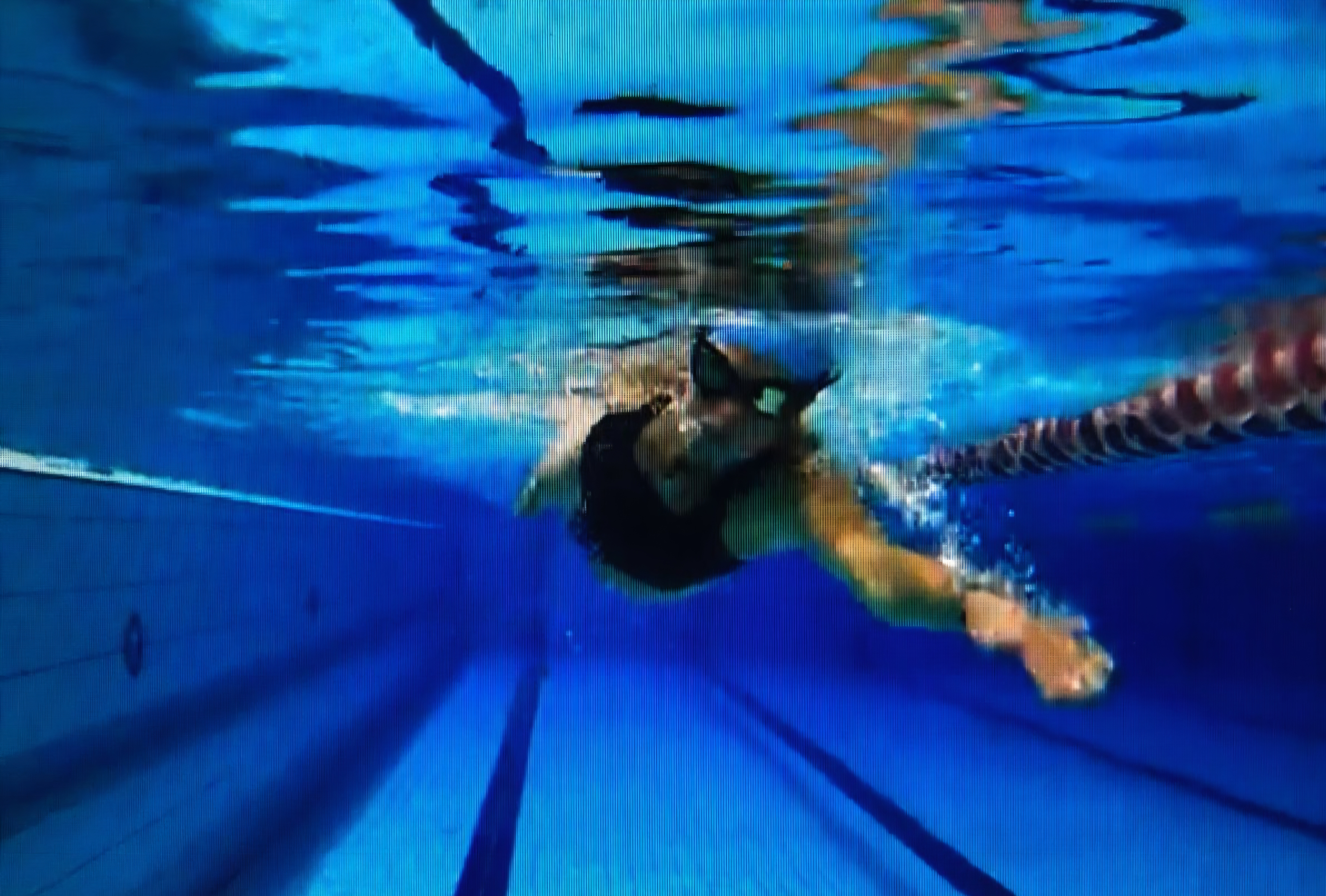A swimmer training in the pool